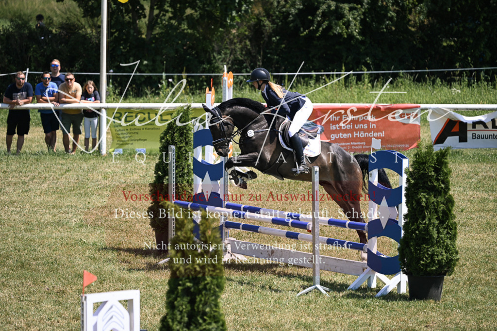 DSC_9914 | Pferde- und Turnierfotografie in Westsachsen. Pferdeportraits, Auftragszeichnungen und intuitive Kunst.