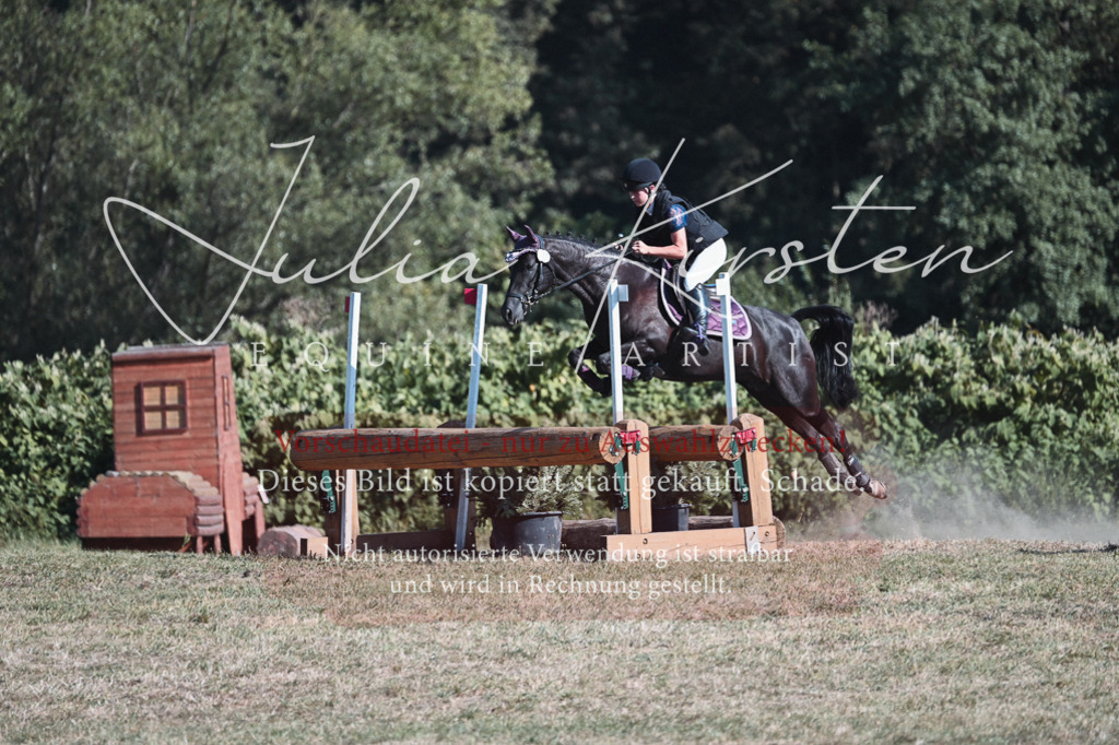 DSC_8832 | Pferde- und Turnierfotografie in Westsachsen. Pferdeportraits, Auftragszeichnungen und intuitive Kunst.
