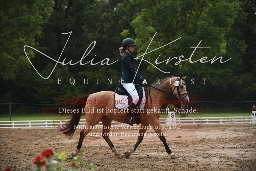 DSC_0059 | Pferde- und Turnierfotografie in Westsachsen. Pferdeportraits, Auftragszeichnungen und intuitive Kunst.