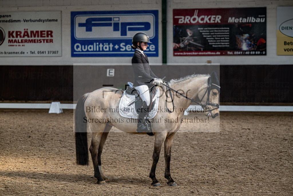20240310-DOS_0966 | Entdecke hochwertige Reitturnierfotos von Foto Oger. Professionell, emotional und authentisch – jetzt Lieblingsmomente im Shop bestellen.Deutschlandweite Turnierfotografie. - Realisiert mit Pictrs.com