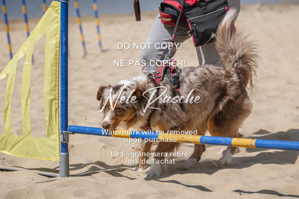 nelerasche_saBeachility_679 | nelerasche