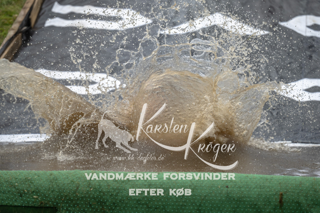 1609_ZZ92480 | kk-dogfotos