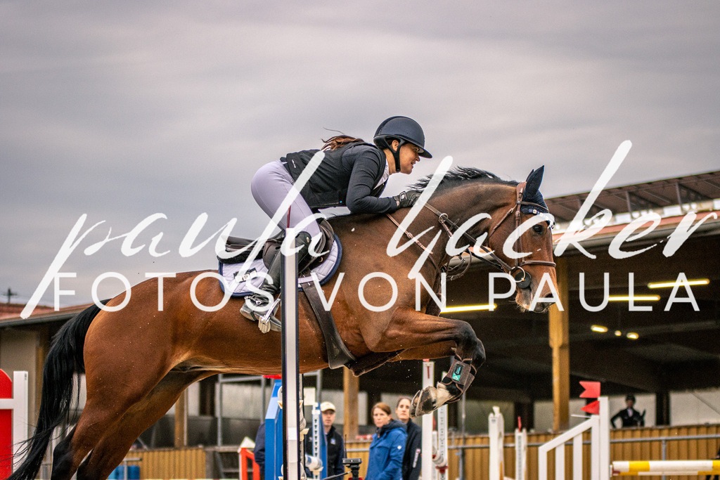 IMG_6297 | Erleben Sie dynamische Sport- und emotionale Tierfotografie in Süddeutschland mit Fotos von Paula. Spezialisiert auf Pferde- und Hundefotografie sowie Sportevents. Kontaktieren Sie mich für einzigartige und ausdrucksstarke Bilder Ihrer besonderen Momente.