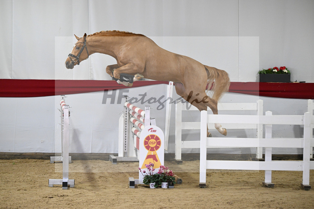 Kat-Nr. 35 v. Zinedream_Schulze-Averdiek_63220802 | hf-fotografie - Realisiert mit Pictrs.com