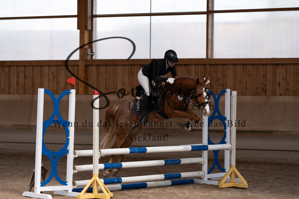 A7507391 | Pferdefotograf