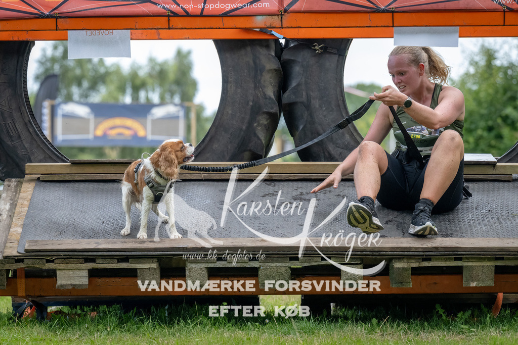 1155_ZZ93269-Bearbeitet | kk-dogfotos