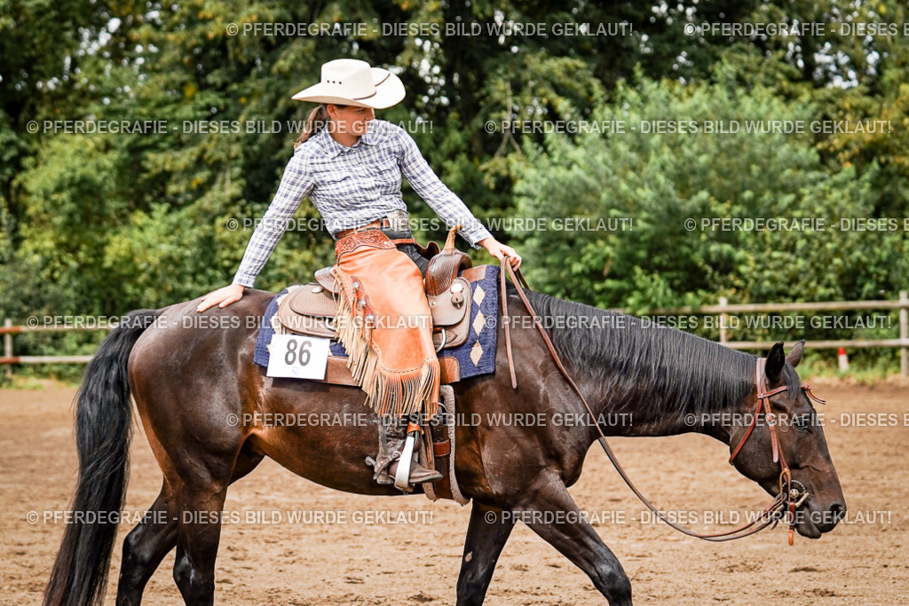 DSC08257 | Pferdegrafie