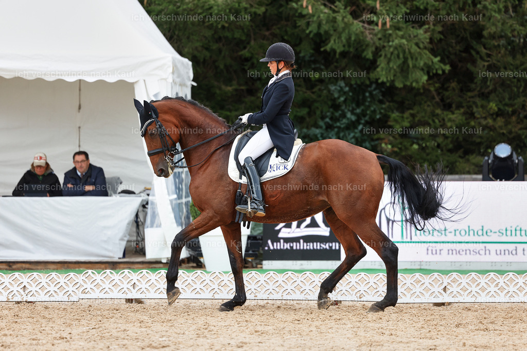 12-072-DRESSUR  S___  -StoibPH-5341 | working equitationturnier fotograf videograf stoibphotography marixx film working equitation deutschland reitsport turnierfotografie eventfotografie equestrian events