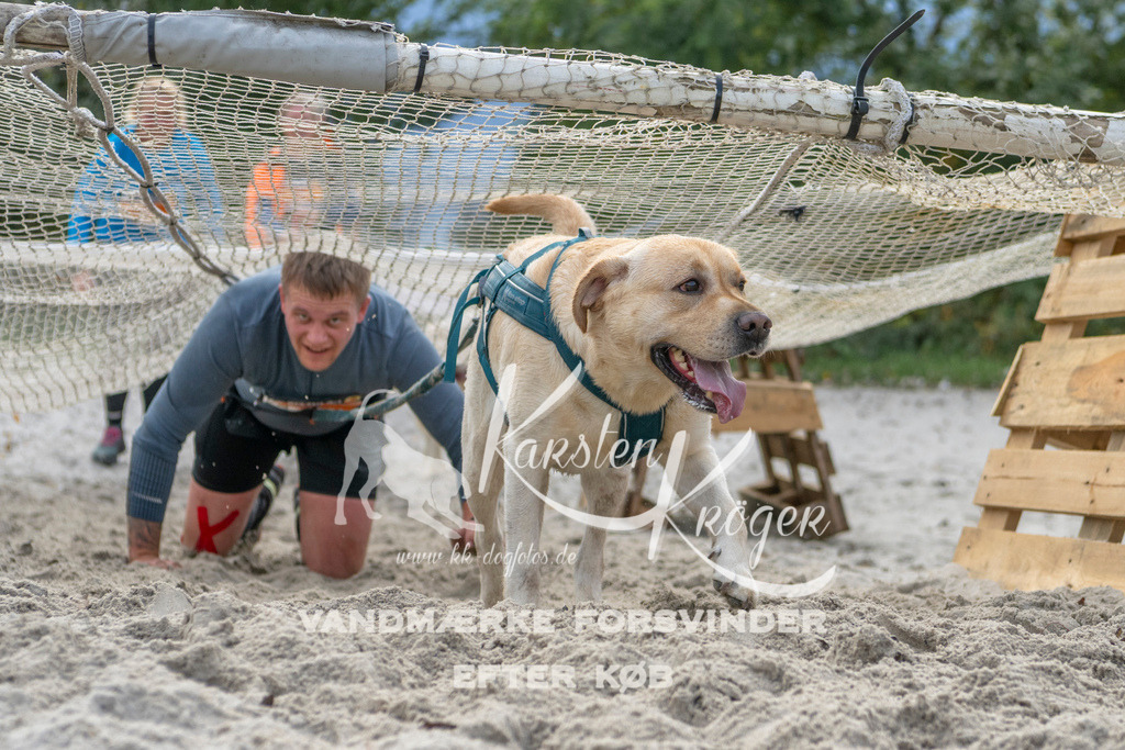 1133_ZZ97505 | kk-dogfotos