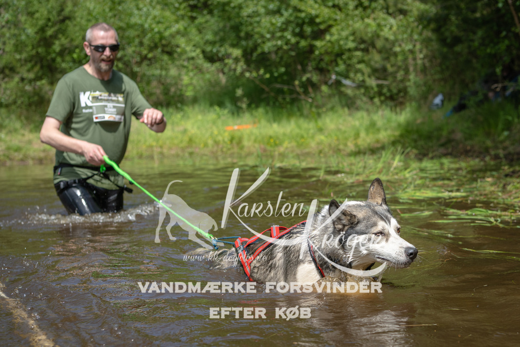 1218DKK992530 | kk-dogfotos