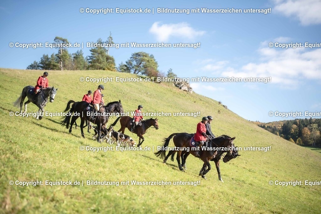 20251011_Jagd-Marbach_0556 | Foto: Thomas Hartig