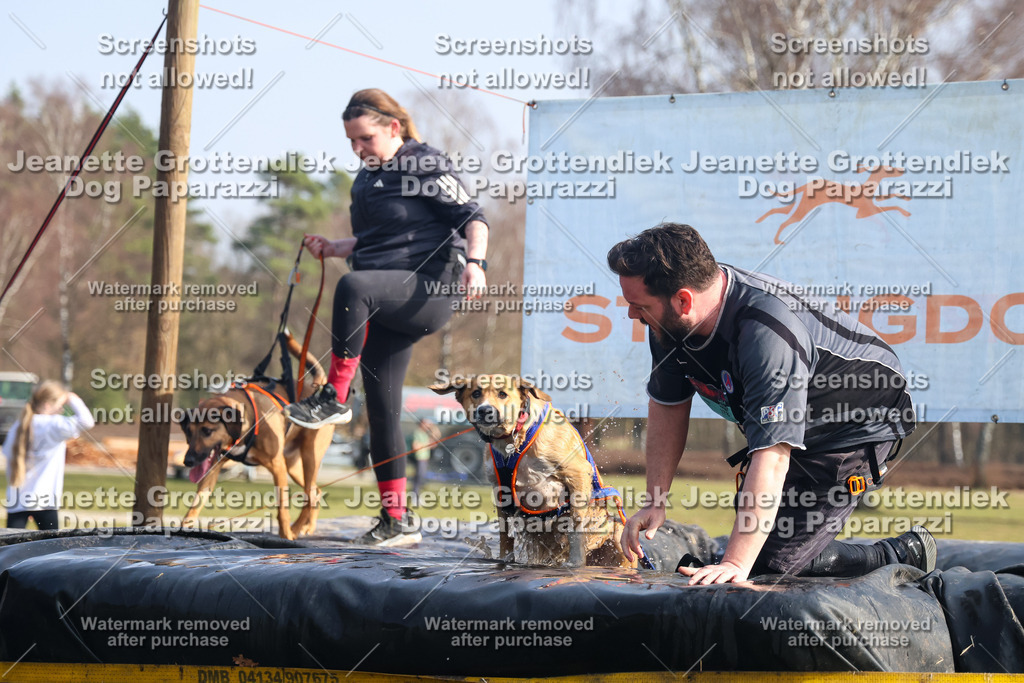 Dog Paparazzi - Strongdog North Mrz26-1745 | Dog Paparazzi Jeanette Grottendiek Fotografie & Videografie - Realisiert mit Pictrs.com