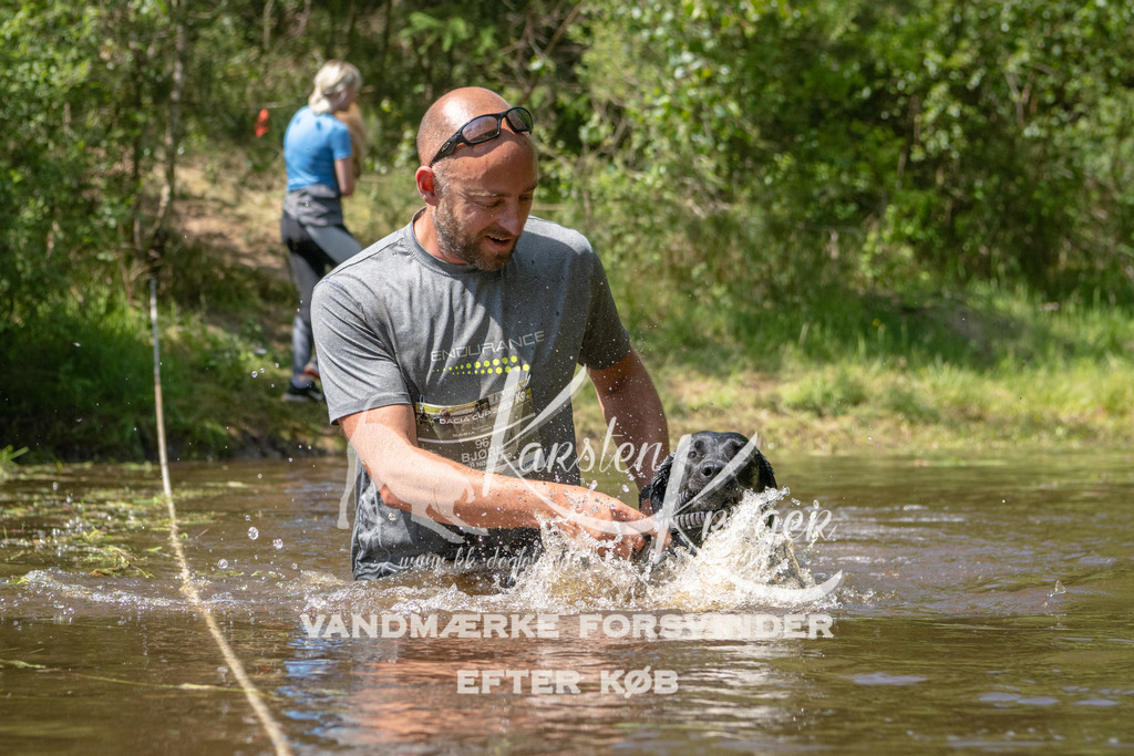 DK K991950141428 | kk-dogfotos