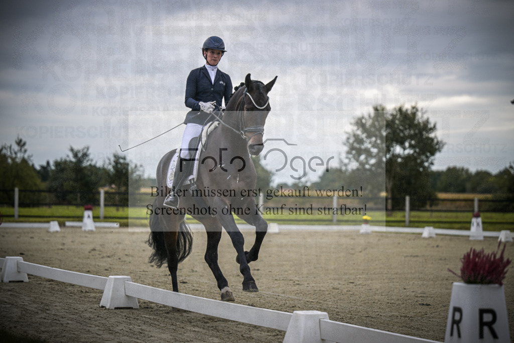 DOS_0321 | Entdecke hochwertige Reitturnierfotos von Foto Oger. Professionell, emotional und authentisch – jetzt Lieblingsmomente im Shop bestellen.Deutschlandweite Turnierfotografie. - Realisiert mit Pictrs.com