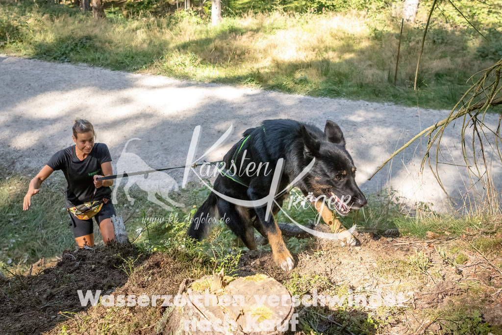 1241_ZZ94890 | kk-dogfotos