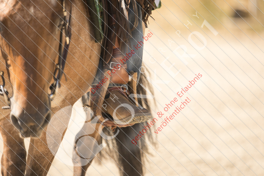 IMG_0687 | Sport-, Event- und Tierfotos in Profiqualität. Einfach auswählen, bestellen und herunterladen. Dein Moment – perfekt festgehalten.
