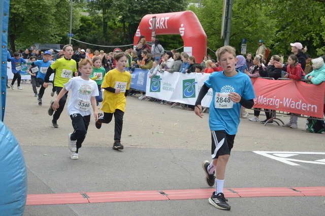 11-05-24_ | Meisterchip Fotoshop - Realisiert mit Pictrs.com