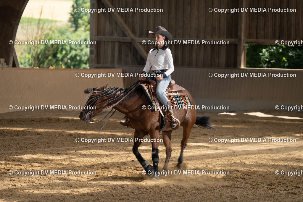 DSC00165 | dv-media-shop - Realisiert mit Pictrs.com