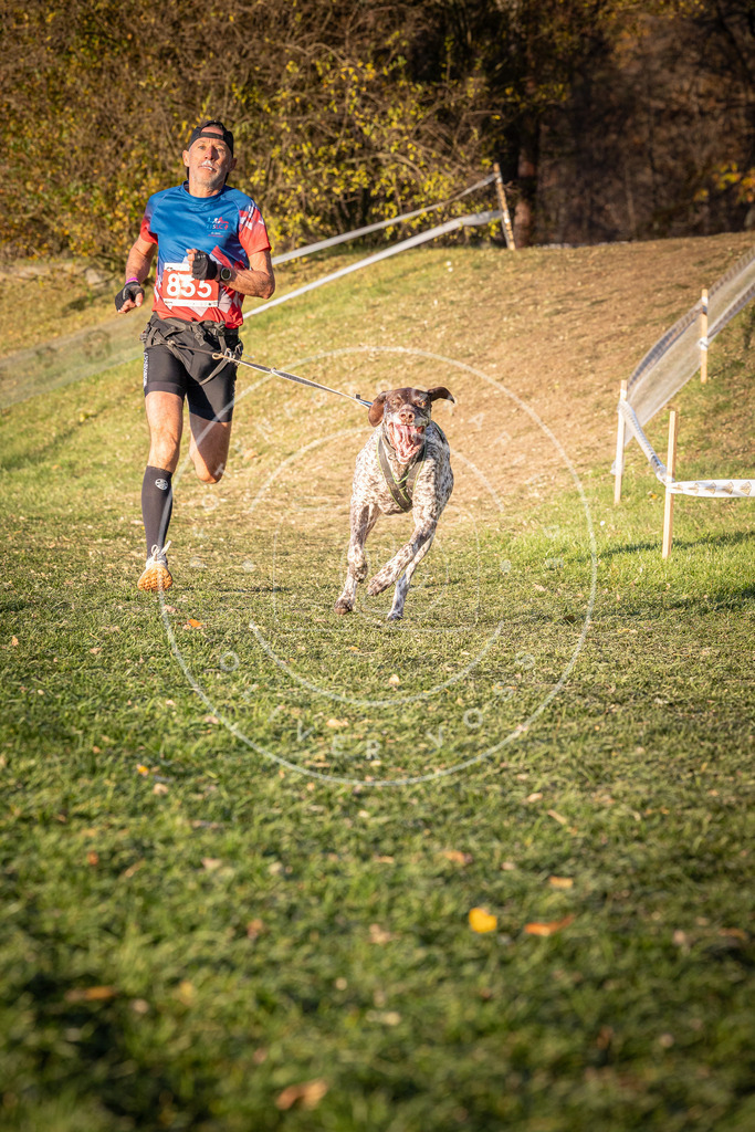 CaniXpix_0L8A0843 | Hundefotografie, Tierfotograf, Pfotenfotografie, Fotoshooting Hund, Hunde Portrait, Hundesport, Hundeportraits, Heideshooting, Hunde, Sportfotograf, Hundefotograf, Turnierhundsport, THS,  - Realisiert mit Pictrs.com