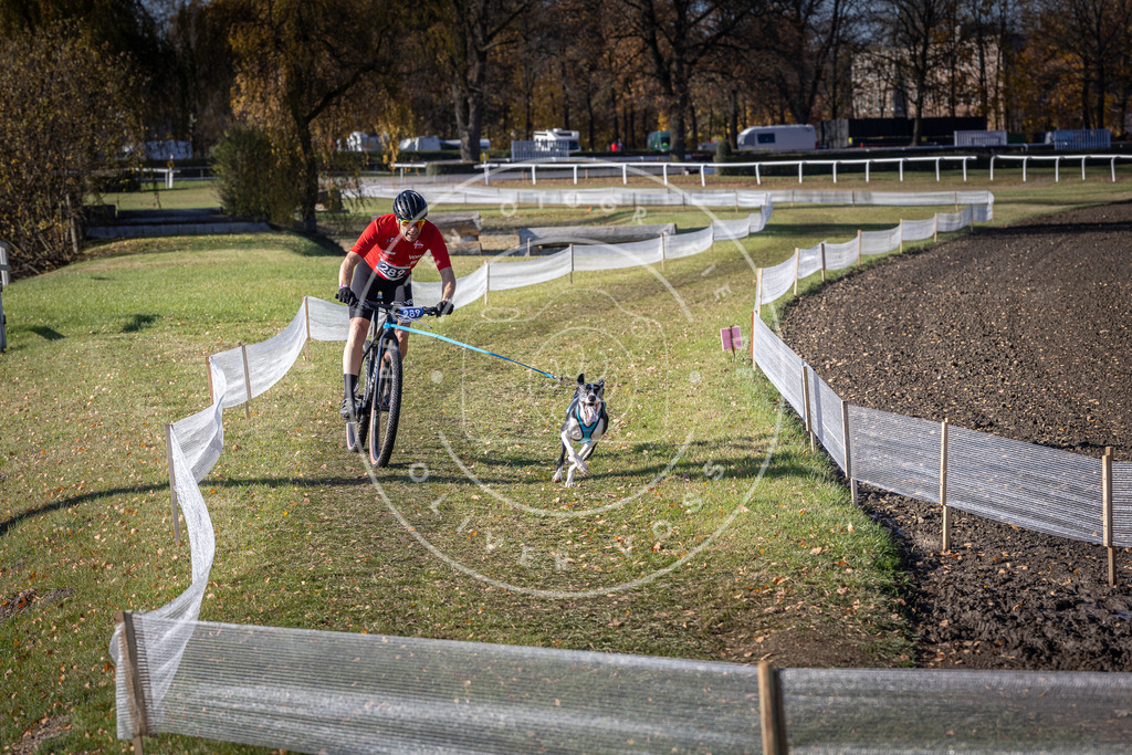 CaniXpix_DV3A5788 | Hundefotografie, Tierfotograf, Pfotenfotografie, Fotoshooting Hund, Hunde Portrait, Hundesport, Hundeportraits, Heideshooting, Hunde, Sportfotograf, Hundefotograf, Turnierhundsport, THS,  - Realisiert mit Pictrs.com