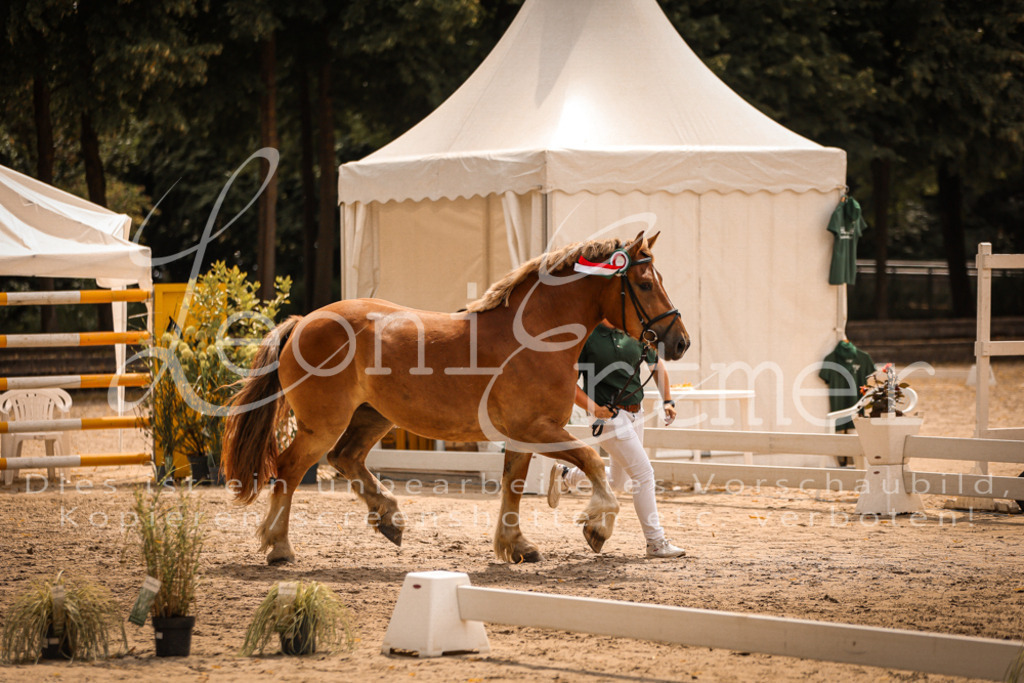 SaSieger00006 | Leoni Ertmer Photography - Realisiert mit Pictrs.com