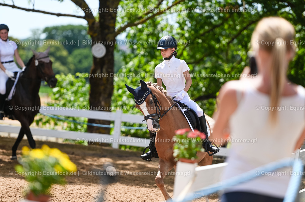 20230715_09_Dressur-WB_0265 | equistock