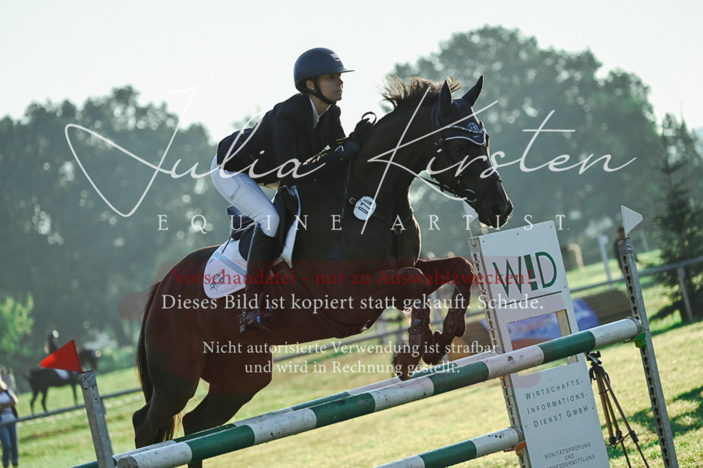 DSC_3819 | Pferde- und Turnierfotografie in Westsachsen. Pferdeportraits, Auftragszeichnungen und intuitive Kunst.