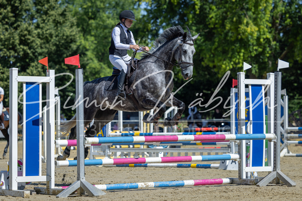 20260704-_3LI7545 | Tierfotografie Pferde, Hunde, Katzen, Haustiere.
Turnierfotografie Reitturniere, Reiten, Springreiten, Dressur in Hanau, dem Main-Kinzig-Kreis und dem Rhein-Main- Gebiet um Frankfurt