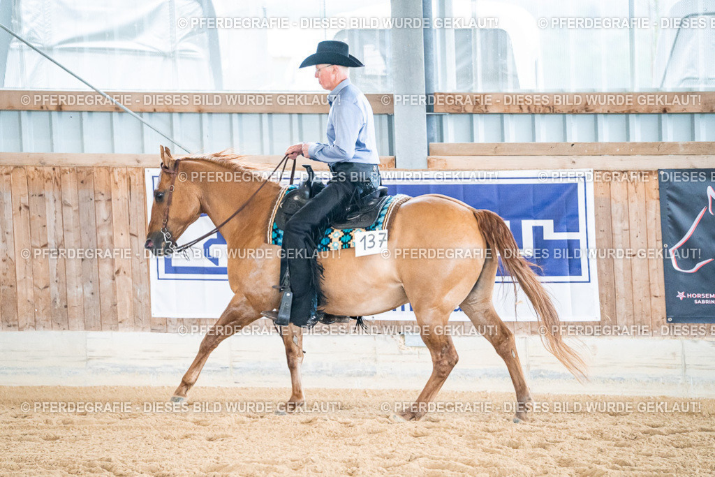 DSC01813 | Pferdegrafie