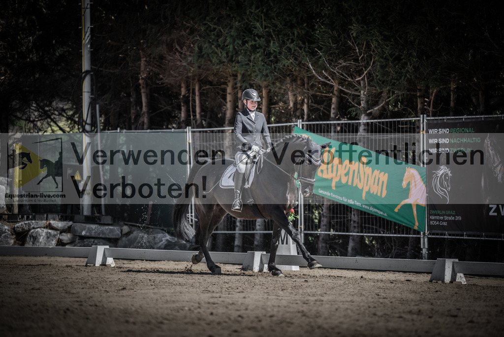 DSC_0212 | equestrian-live-com