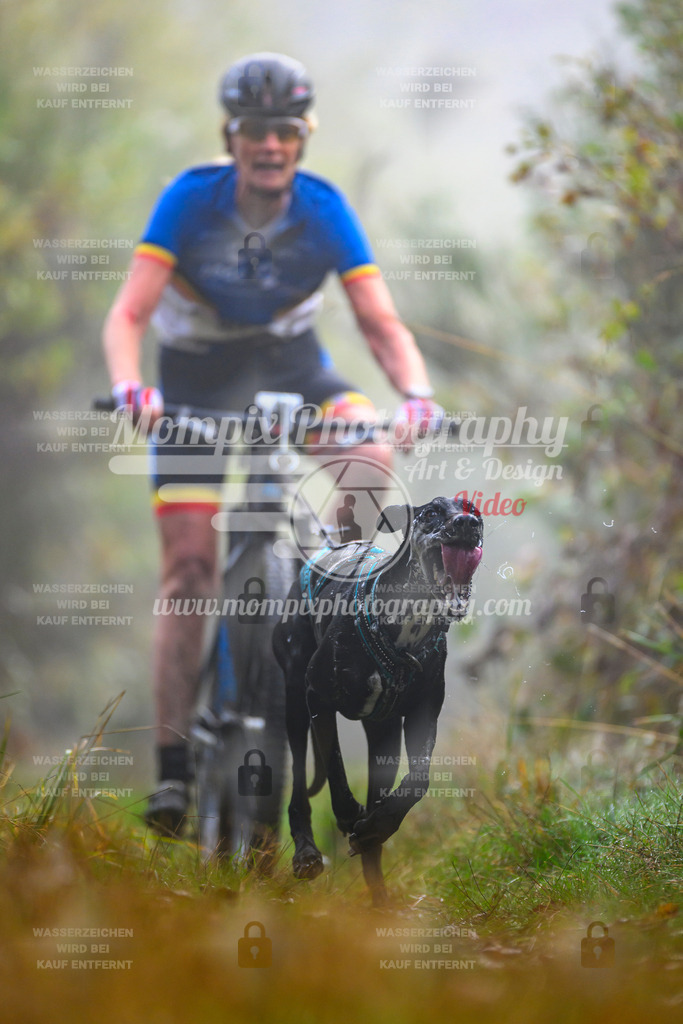 MompixPhotography_20TSB_E4_Bike-33 | PayLife