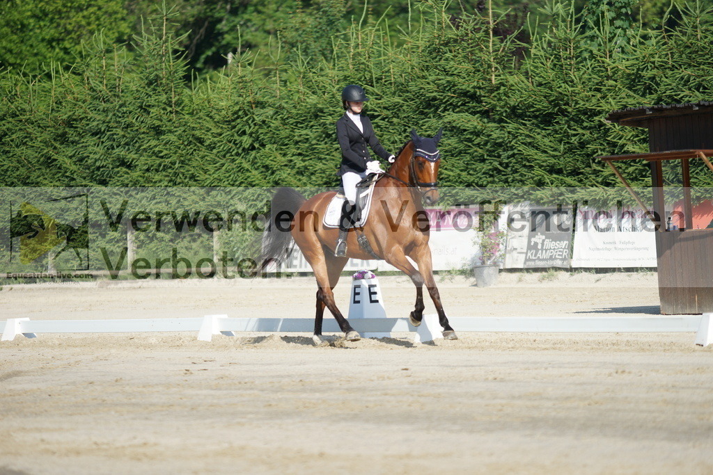 DSC04406 | equestrian-live-com