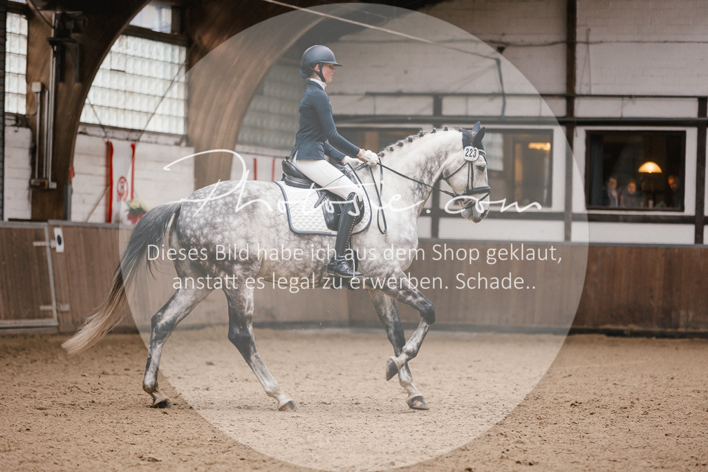 3I6A6835 | Stimmungsvolle Portraits und Reitsportfotografie im Ruhrgebiet und im Münsterland.

Pferdefotografie, Hundefotografie, Tierfotografie, Reportagen, Portraits von Tier und Mensch, Turnierfotografie in Bochum, Recklinghausen, Marl, Haltern am See, Dülmen.. - Realisiert mit Pictrs.com