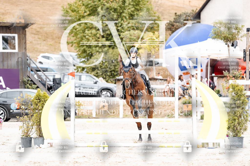 CK907983 | Turnierfotografie Pferdefotografie Trier Rheinland-Pfalz Pferdesport Reitsport Tierfotografie Sportfotografie Pferdevideo Pferdevideografie Equestrianvideography equestrianphotography  - Realisiert mit Pictrs.com