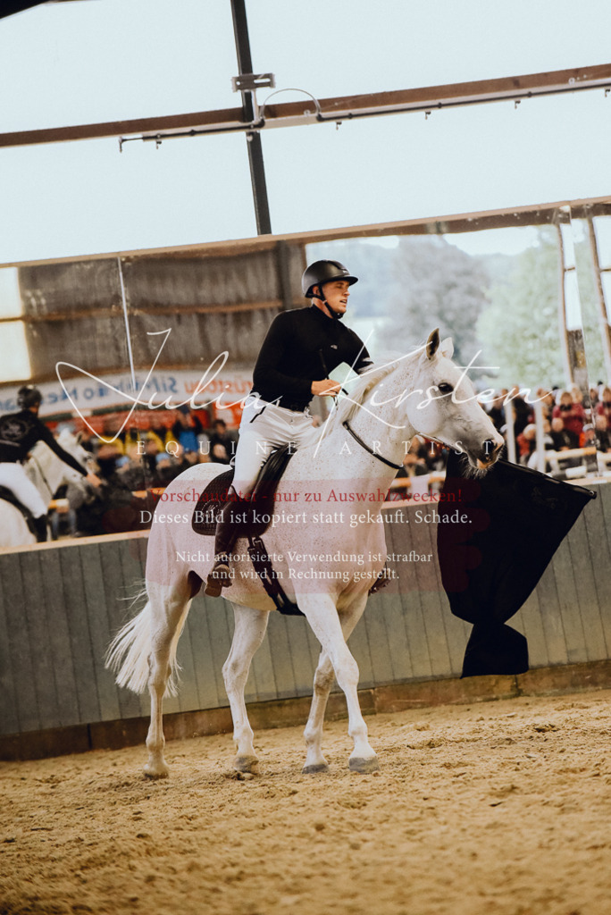 DSC_6987 | Pferde- und Turnierfotografie in Westsachsen. Pferdeportraits, Auftragszeichnungen und intuitive Kunst.