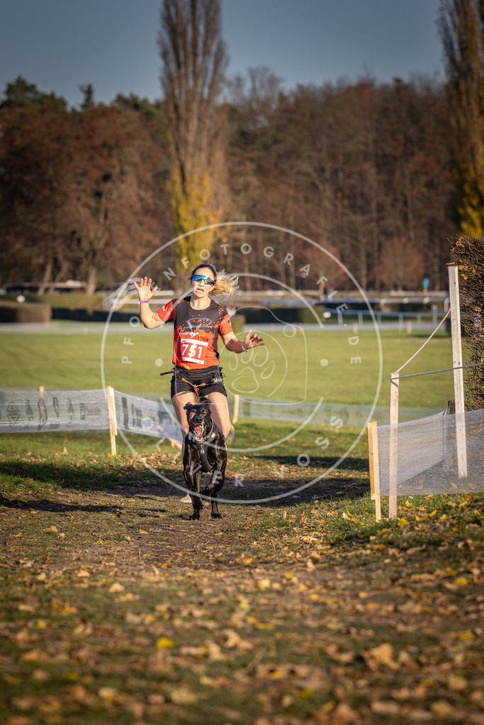 CaniXpix_DV3A2421 | Hundefotografie, Tierfotograf, Pfotenfotografie, Fotoshooting Hund, Hunde Portrait, Hundesport, Hundeportraits, Heideshooting, Hunde, Sportfotograf, Hundefotograf, Turnierhundsport, THS,  - Realisiert mit Pictrs.com