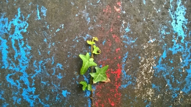 Stadt Natur 17 | ARDT Foto Kunst