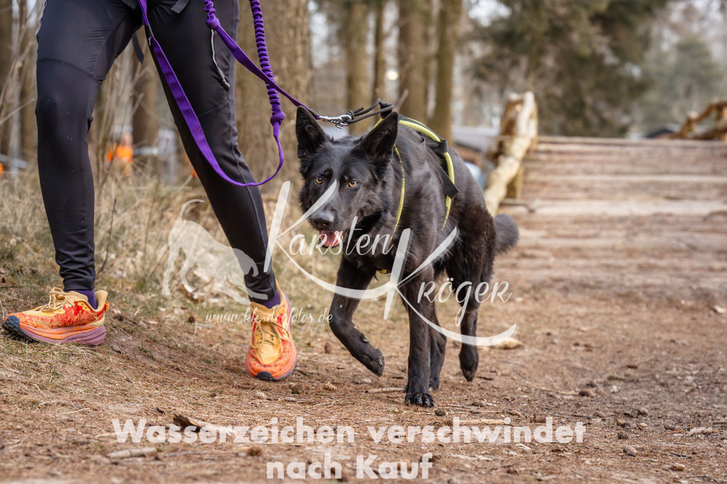 1651_ZZ95059 | kk-dogfotos