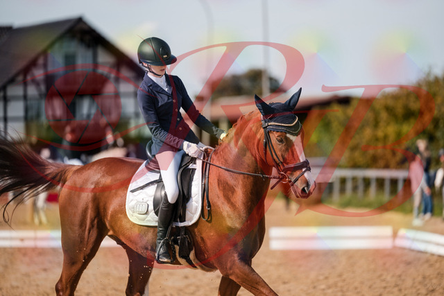 2026_10_03_Siefer-Hof_123709_Z63_55067706 | Professionelle Reitsport-, Turnier- und Eventfotografie von Robert Broda. Galerien mit ausgewählten und bearbeiteten Bildern direkt online ansehen und bestellen.