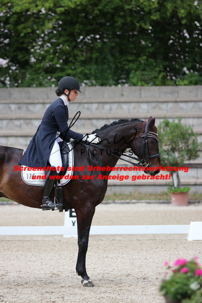 IMG_9593 | lmwpictures - Realisiert mit Pictrs.com