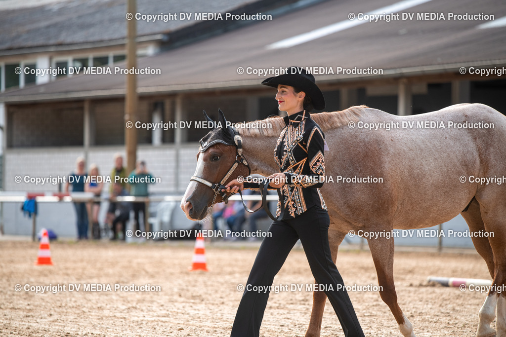 EWP_5608 | dv-media-shop - Realisiert mit Pictrs.com