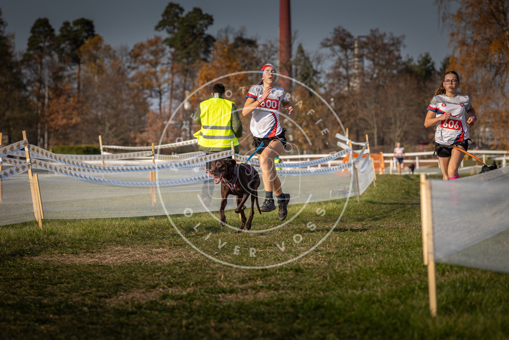 CaniXpix_0L8A9992 | Hundefotografie, Tierfotograf, Pfotenfotografie, Fotoshooting Hund, Hunde Portrait, Hundesport, Hundeportraits, Heideshooting, Hunde, Sportfotograf, Hundefotograf, Turnierhundsport, THS,  - Realisiert mit Pictrs.com