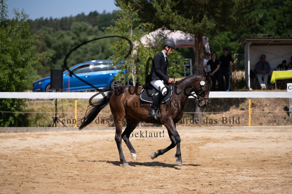 A7V07994 | Pferdefotograf