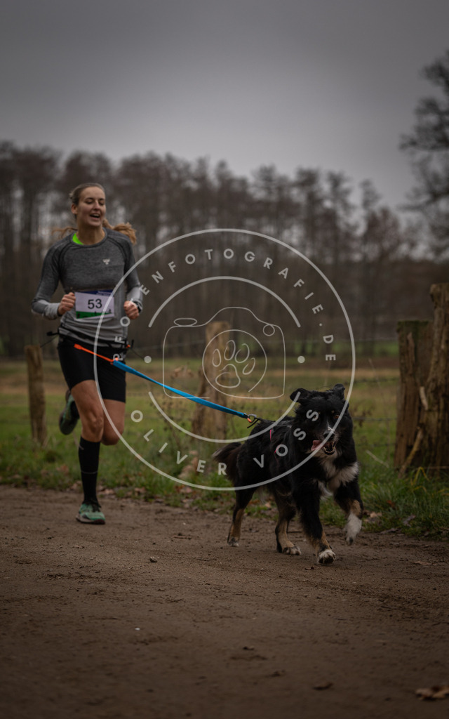 Pfotenfotografie_DV3A2955 | Hundefotografie, Tierfotograf, Pfotenfotografie, Fotoshooting Hund, Hunde Portrait, Hundesport, Hundeportraits, Heideshooting, Hunde, Sportfotograf, Hundefotograf, Turnierhundsport, THS,  - Realisiert mit Pictrs.com