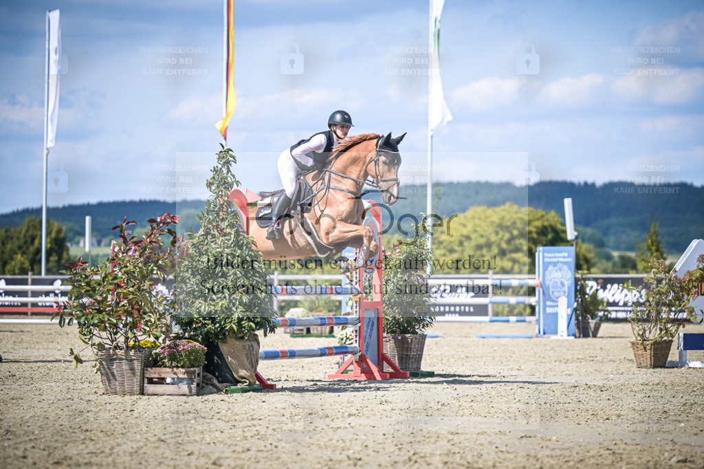 DOS_2019 | Entdecke hochwertige Reitturnierfotos von Foto Oger. Professionell, emotional und authentisch – jetzt Lieblingsmomente im Shop bestellen. - Realisiert mit Pictrs.com