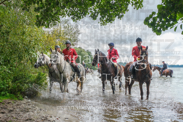 Jagd Perdoel_MarinaHewigDSCF3634 | Fotografie, FotoArt, PferdesportArt, Pferdesportfotografie, Landschaftsfotografie, Reisefotografie, Reise, Pferde - Realisiert mit Pictrs.com