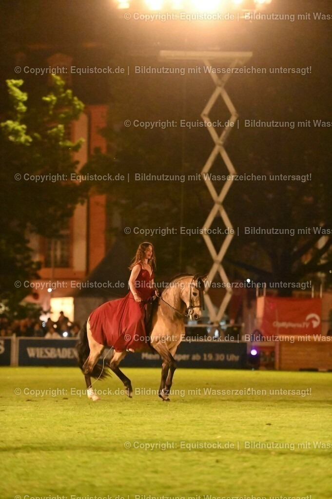 20230526_Pferdenacht_1381 | equistock