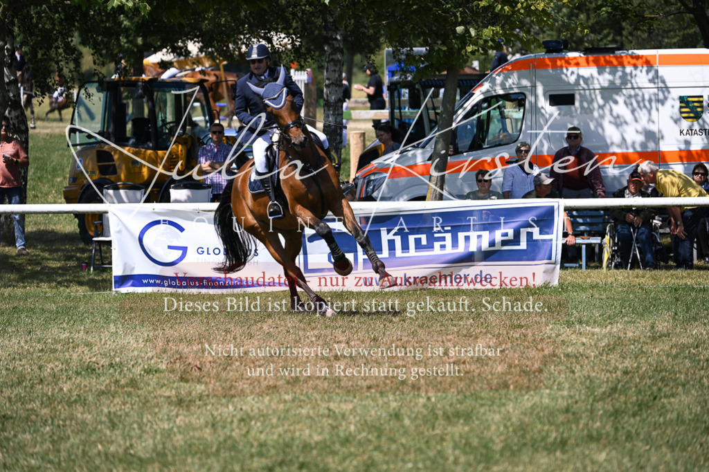 DSC_0190 | Pferde- und Turnierfotografie in Westsachsen. Pferdeportraits, Auftragszeichnungen und intuitive Kunst.