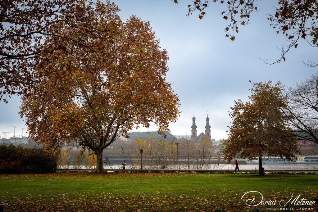 DSC_4345 | Fotografien, Fotos und Bilder aus Mainz, Frankfurt, Wiesbaden und anderen Orten auf der Welt - Fotografiert von Darius Metzner