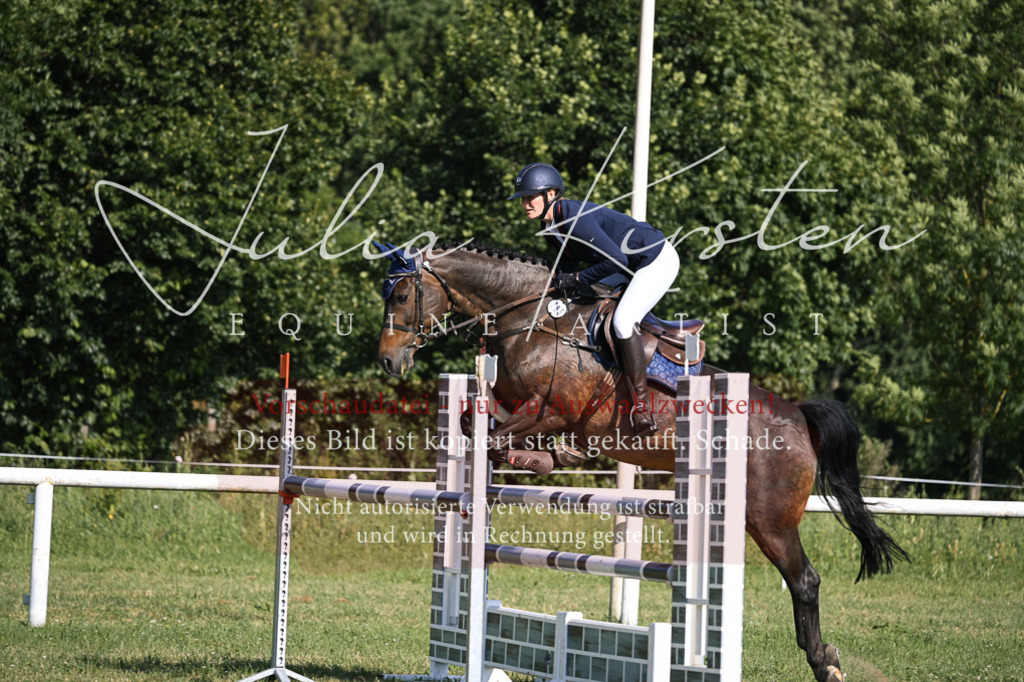 DSC_1434 | Pferde- und Turnierfotografie in Westsachsen. Pferdeportraits, Auftragszeichnungen und intuitive Kunst.